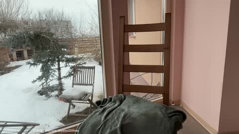 Andreea online show from 24, 2, 2026