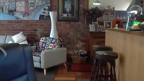 patvac online show from 8, 11, 2025