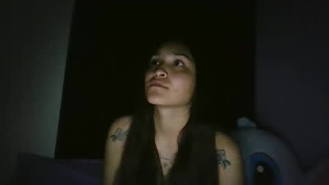 Snapshot of pau_cat chatting on 20, 4, 2026 Pau online show from 20, 4, 2026
