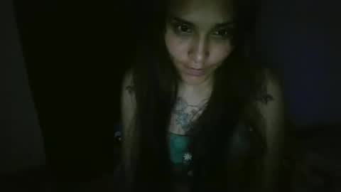 Snapshot of pau_cat chatting on 3, 5, 2026 Pau online show from 3, 5, 2026