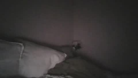 paul141293 online show from 22, 9, 2025