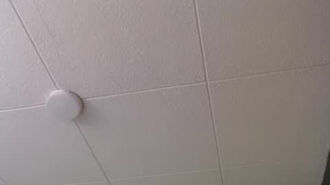 Paul online show from 20, 10, 2025