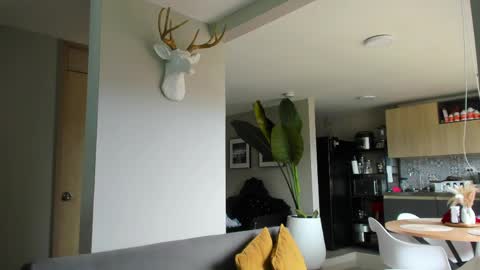 Paul online show from 10, 4, 2026