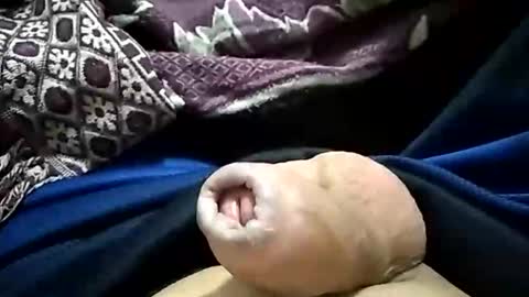 carlosjdo online show from 29, 10, 2025