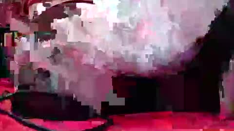 Coco channel  online show from 20, 12, 2024