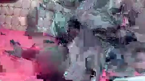 Coco channel  online show from 22, 12, 2024