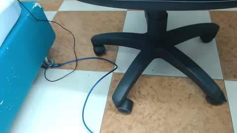 Payton online show from 4, 12, 2024