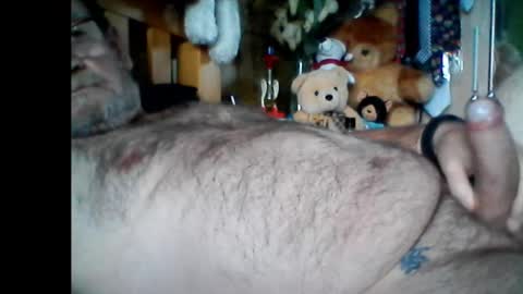 Papabear online show from 8, 1, 2025