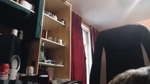 pc8474408 online show from 7, 5, 2026