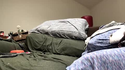 Snapshot of pduke81 chatting on 16, 12, 2024 Hung sung Hero online show from 16, 12, 2024