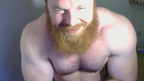 Pec inspector online show from 26, 1, 2025