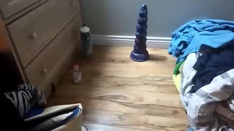 perdz768563 online show from 22, 3, 2026