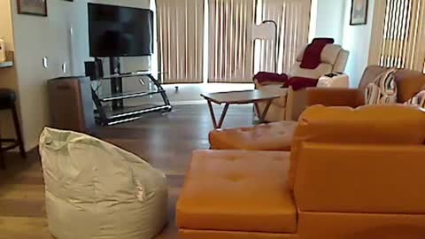 Snapshot of perfecto1957 chatting on 3, 12, 2024 perfecto1957 online show from 3, 12, 2024