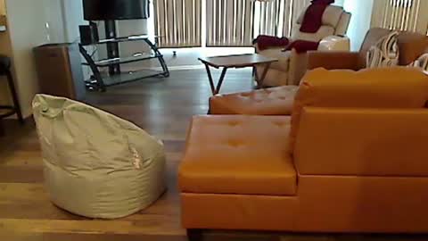 Snapshot of perfecto1957 chatting on 7, 12, 2024 perfecto1957 online show from 7, 12, 2024