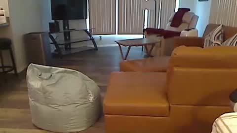 Snapshot of perfecto1957 chatting on 24, 12, 2024 perfecto1957 online show from 24, 12, 2024