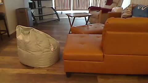 Snapshot of perfecto1957 chatting on 5, 1, 2025 perfecto1957 online show from 5, 1, 2025