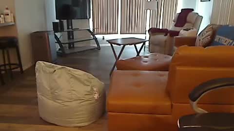 Snapshot of perfecto1957 chatting on 13, 2, 2025 perfecto1957 online show from 13, 2, 2025