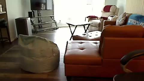 Snapshot of perfecto1957 chatting on 10, 10, 2025 perfecto1957 online show from 10, 10, 2025