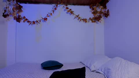 Rose online show from 4, 12, 2024