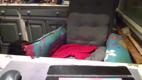 make me cum in pvt dutch german daddy c2c bigcock online show from 1, 11, 2025