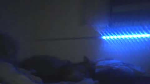 Snapshot of peterscherer620 chatting on 10, 2, 2026 Pitsches online show from 10, 2, 2026