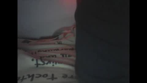 Snapshot of peterscherer620 chatting on 15, 2, 2026 Pitsches online show from 15, 2, 2026