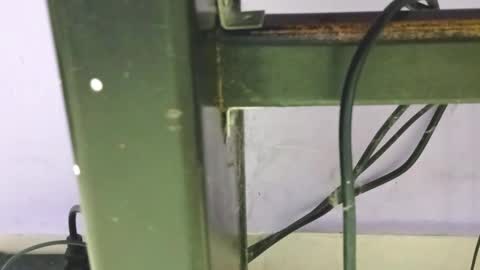 Snapshot of petiteivoryqueen chatting on 23, 12, 2024 danna online show from 23, 12, 2024