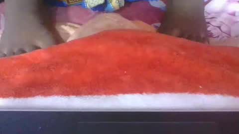 phania185885 online show from 16, 4, 2026