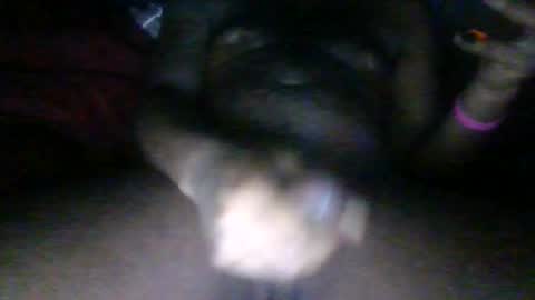 Snapshot of phantomb100 chatting on 24, 10, 2025 Phantomblaze online show from 24, 10, 2025