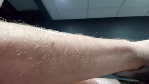 Snapshot of pickeler chatting on 19, 1, 2025 big pickle online show from 19, 1, 2025