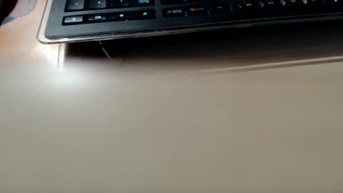 pier49x online show from 4, 12, 2024