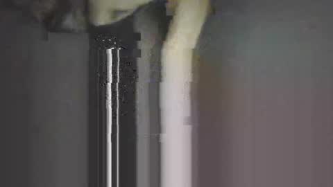 Snapshot of piggyes74 chatting on 21, 9, 2025 piggyes 74 online show from 21, 9, 2025