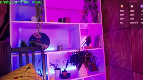 Sonya online show from 13, 12, 2024