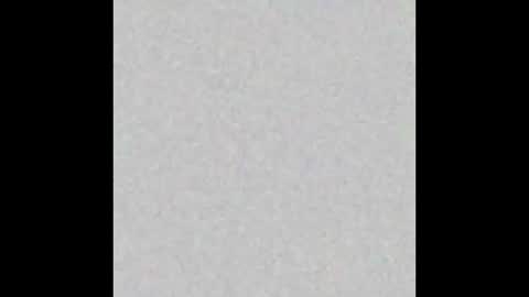 Snapshot of pimmel10 chatting on 29, 11, 2025 pimmel10 online show from 29, 11, 2025