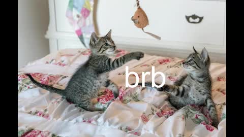 Snapshot of pink_girl0n chatting on 19, 10, 2025 Kitty online show from 19, 10, 2025