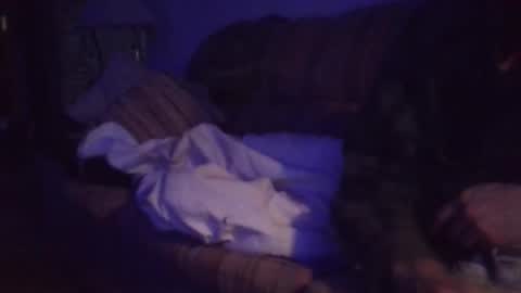 playerpleasure online show from 4, 4, 2026