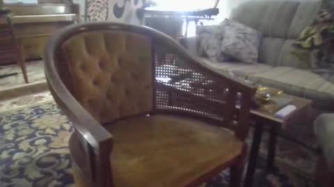 playerpleasure online show from 6, 4, 2026