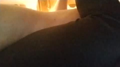 Snapshot of playfulpair7982 chatting on 5, 11, 2025 Nichole Vixen Jacob online show from 5, 11, 2025