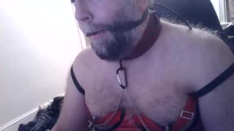 pleasurepuppt online show from 22, 1, 2025