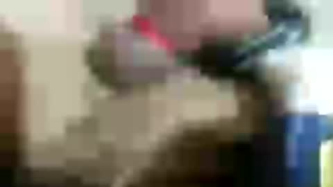 Snapshot of plug768785628 chatting on 18, 7, 2026 plug768785628 online show from 18, 7, 2026