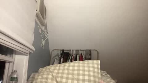 Snapshot of plushicore chatting on 15, 2, 2026 stariette online show from 15, 2, 2026