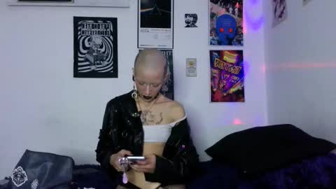    online show from 12, 2, 2026