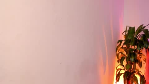 Patrocla online show from 13, 2, 2025