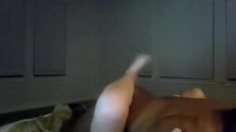 garden of eden online show from 3, 11, 2025