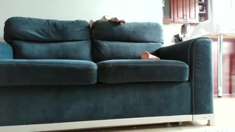 Snapshot of pokusss chatting on 15, 1, 2026 pokusss online show from 15, 1, 2026