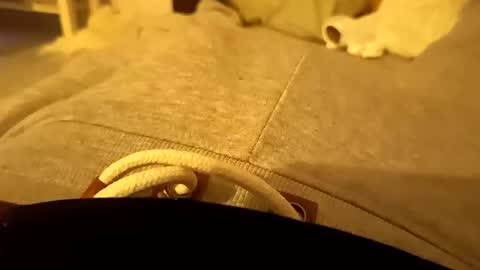 Snapshot of pollontf chatting on 2, 3, 2026 pollontf online show from 2, 3, 2026