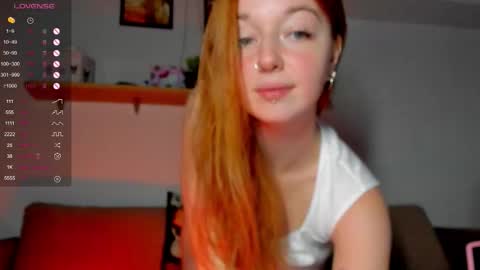 Polly online show from 5, 10, 2025