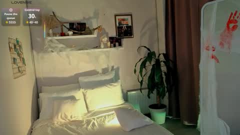  Your Polly  follow me  online show from 31, 10, 2025