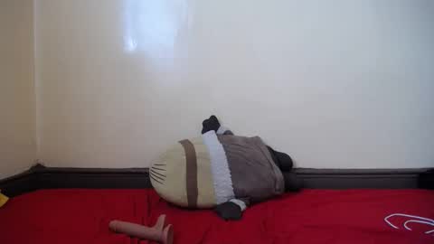 popetykely00 online show from 18, 2, 2025