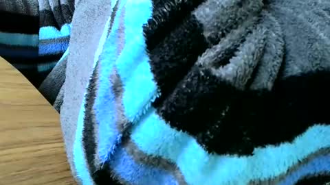 Snapshot of poshman65 chatting on 23, 2, 2025 poshman65 online show from 23, 2, 2025